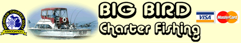 big-bird-charter.gif